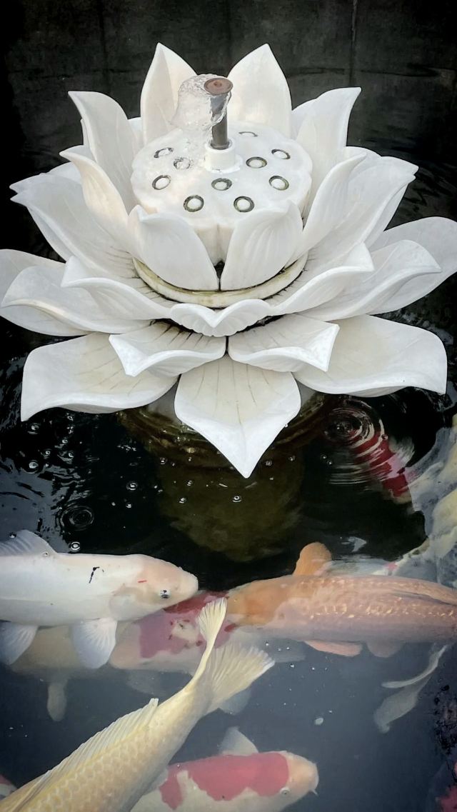 广仁寺旅行图片 2