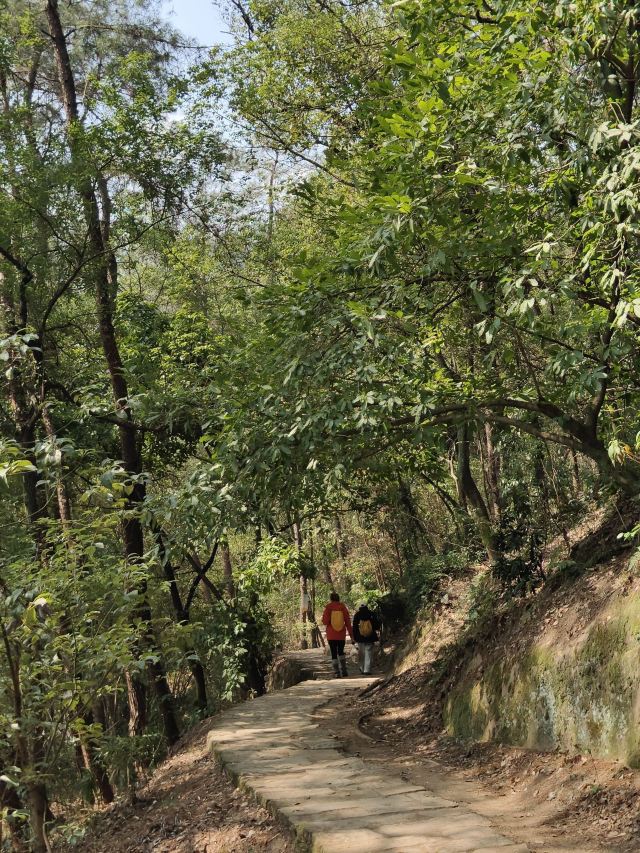 重庆张飞古道游玩攻略简介,重庆张飞古道门票/地址/图片/开放时间/照片/门票价格【携程攻略】