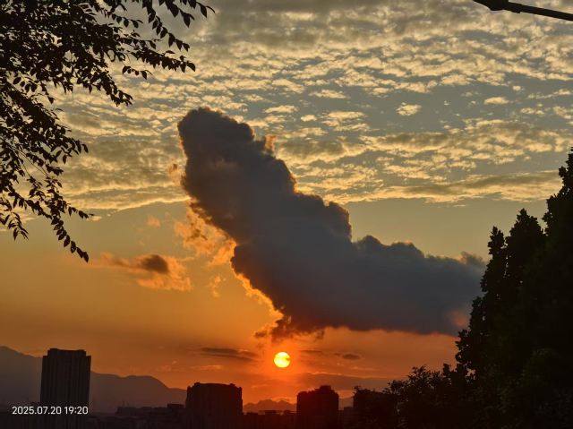 老山城市休闲公园旅行图片 11
