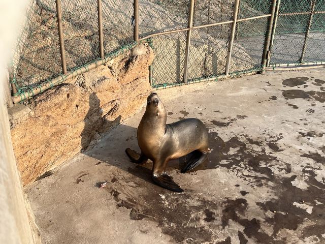 西霞口神雕山野生动物世界奇遇乐园旅行图片 1