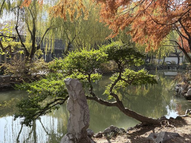 清晏园旅行图片 8