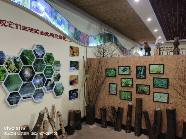 香炉山国家森林公园-自动售卖机旅行图片 14