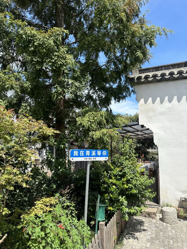 青溪老街旅行图片 15
