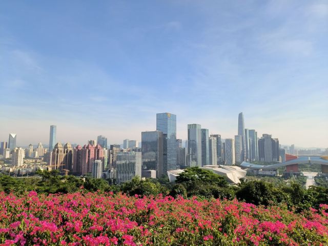 莲花山公园旅行图片 11