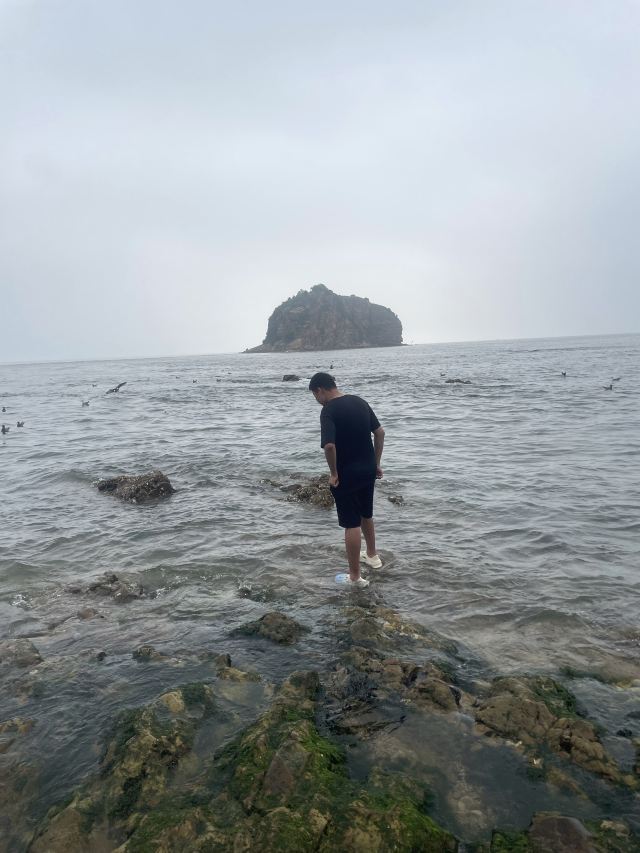 棒棰岛旅行图片 1