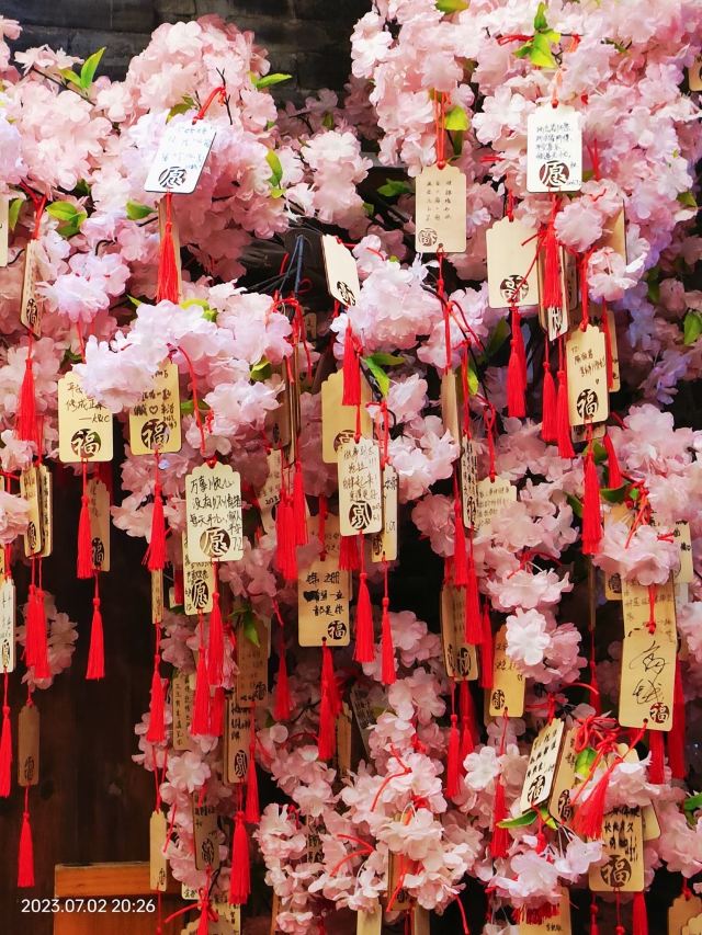 西溪古村旅行图片 6