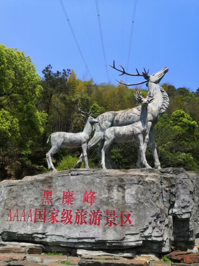 长沙黑麋峰森林公园旅行图片 1