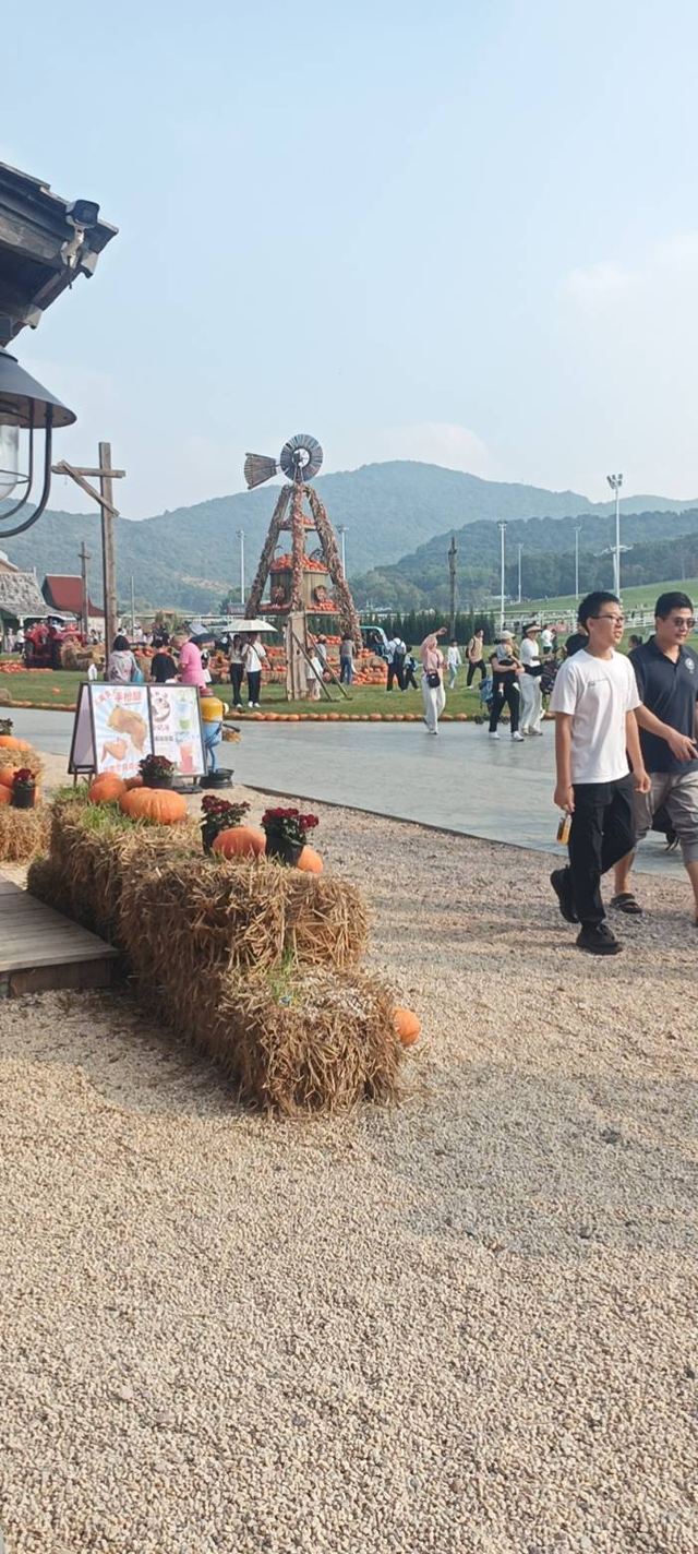 东北亚云端草原(暂停开放)旅行图片 3