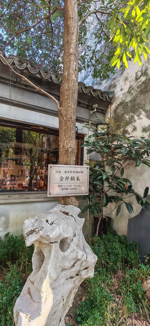 平江路旅行图片 3