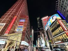 新宿区-东京-小皮二