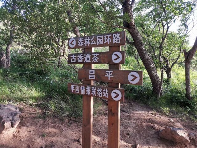 玫瑰谷旅行图片 6
