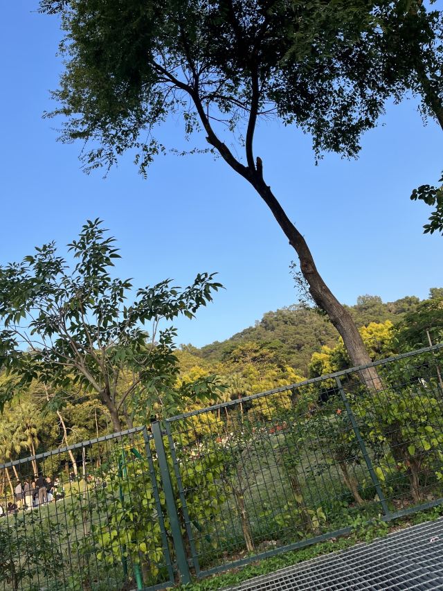 尖岗山公园旅行图片 1