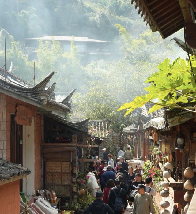 普洱古镇荷园旅行图片 3