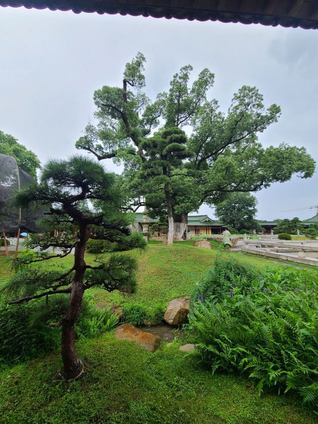 东林寺旅行图片 2