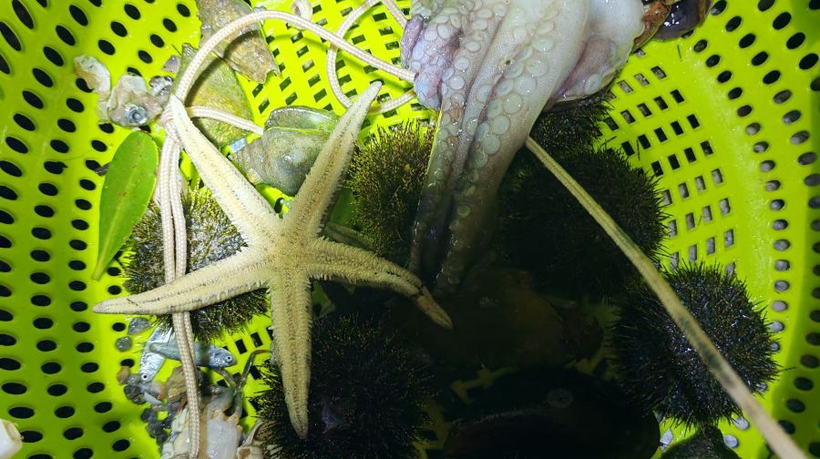 玩海家赶海基地