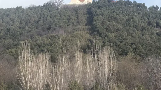 老頂山國家森林公園