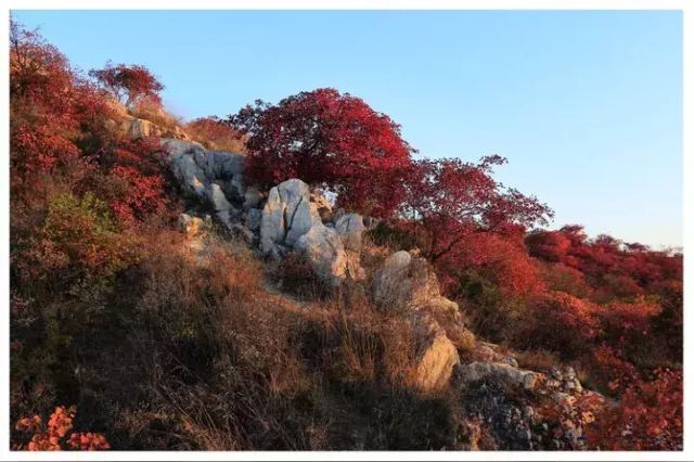 宝鸡市九龙山九龙禅院旅行图片 2