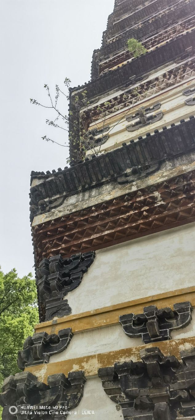 庐山西林寺旅行图片 15
