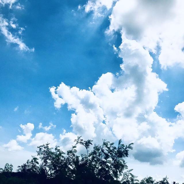 佛光寺旅行图片 1