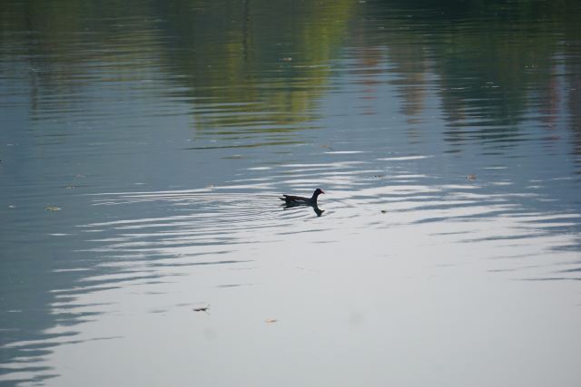 花溪公园旅行图片 4