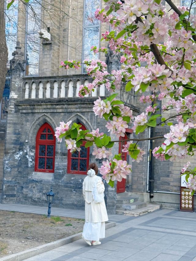 天主教北京总教区西什库主教座堂旅行图片 2