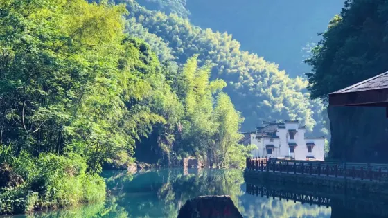 水竹灣森林公園
