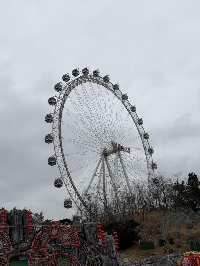 大连森林动物园旅行图片 2