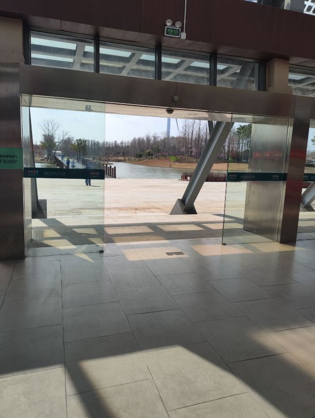 上海东滩湿地公园旅行图片 3