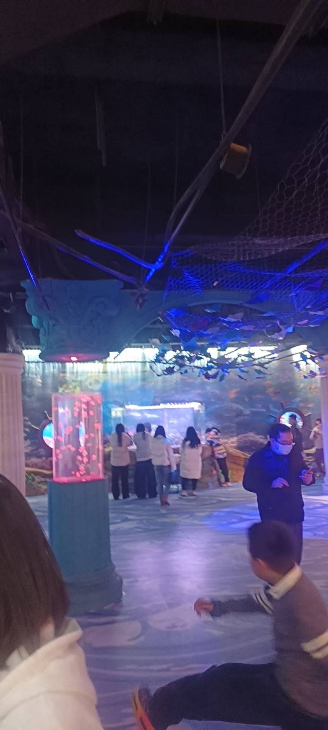秦皇岛新澳海底世界旅行图片 3