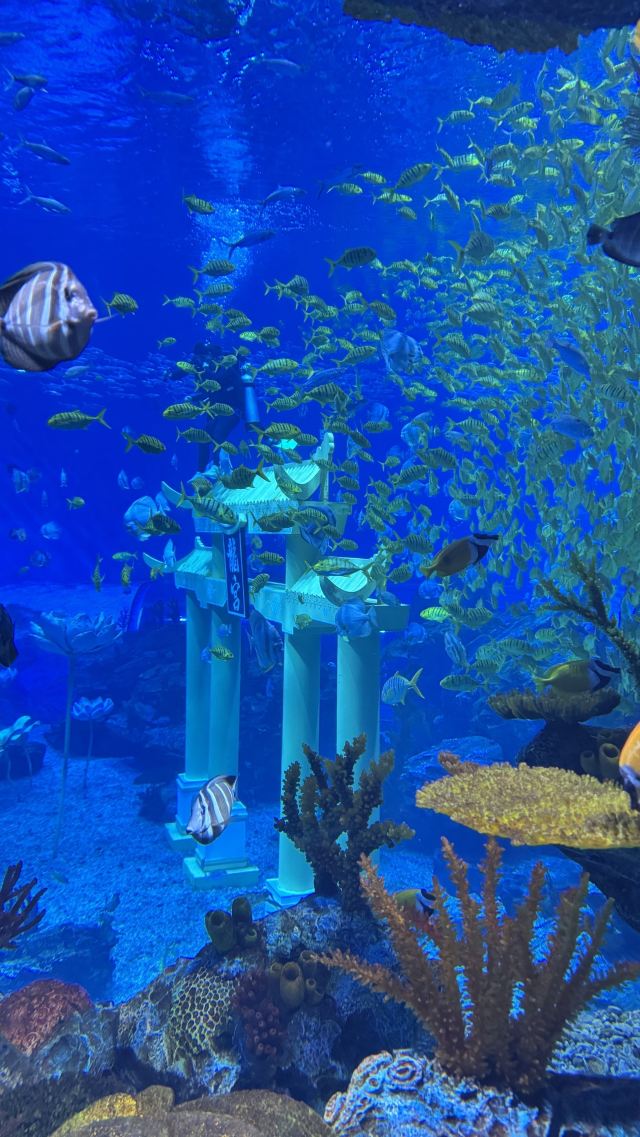 郑州海昌海洋公园旅行图片 2