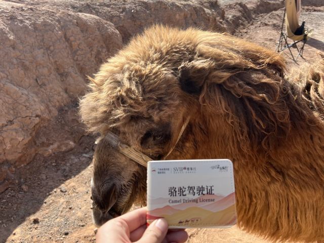 兰州水墨丹霞旅游景区旅行图片 3