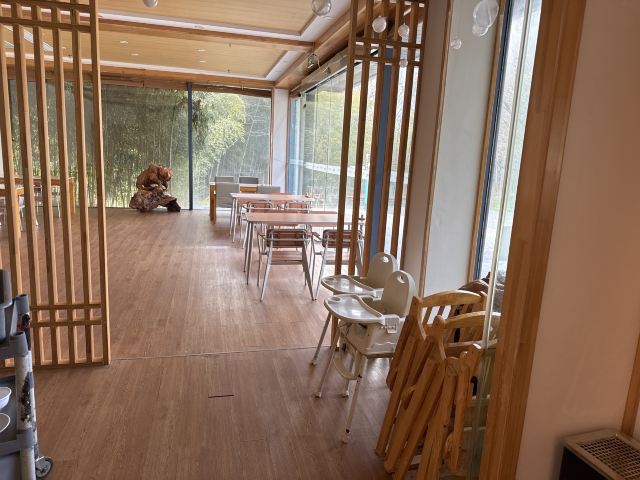 茅山森林世界旅行图片 3