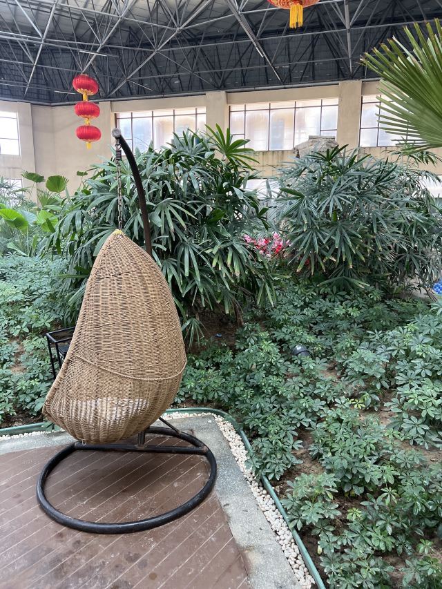齐河阿尔卡迪亚国际温泉·禹泉旅行图片 1