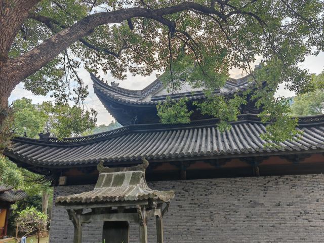 头陀寺旅行图片 11