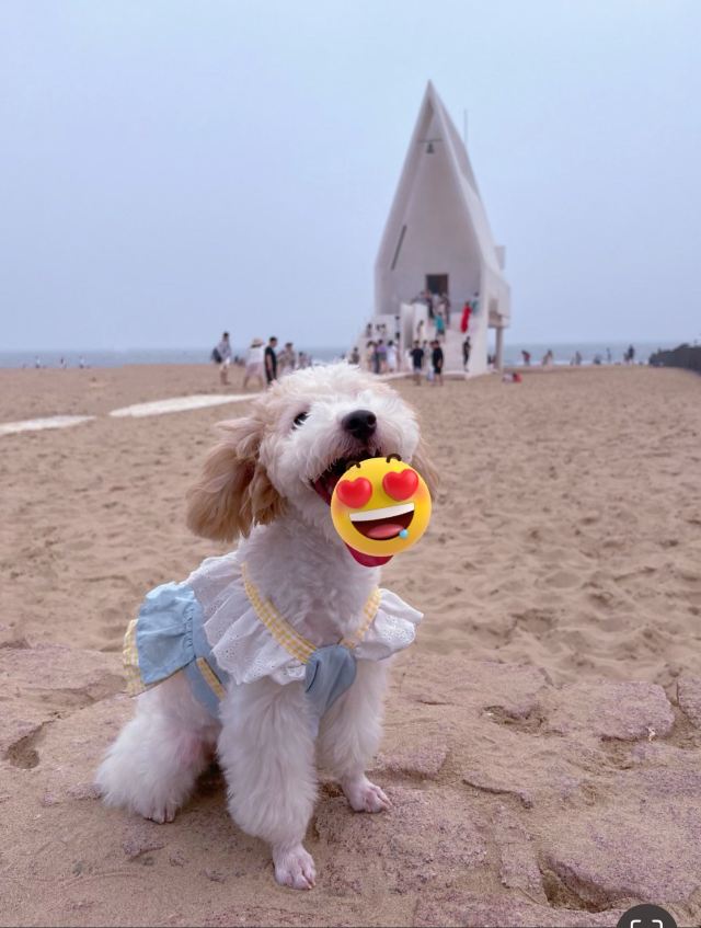 阿那亚礼堂旅行图片 1