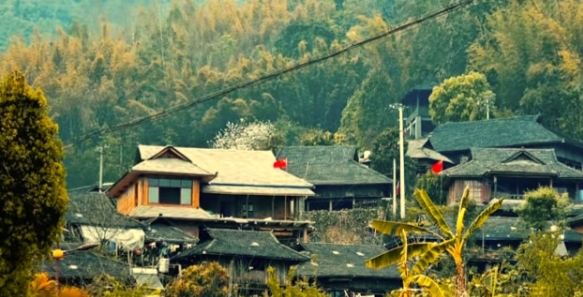 老达保演艺大舞台主观众席(二楼)旅行图片 12