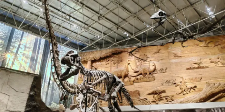 朝陽古生物化石博物館