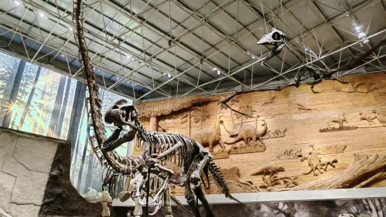 朝陽古生物化石博物館
