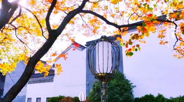 莫愁湖公园旅行图片 4