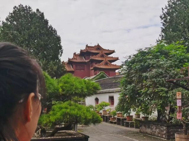 岱庙旅行图片 4
