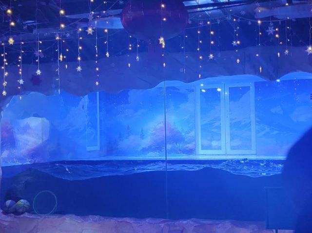 秦皇岛新澳海底世界旅行图片 1