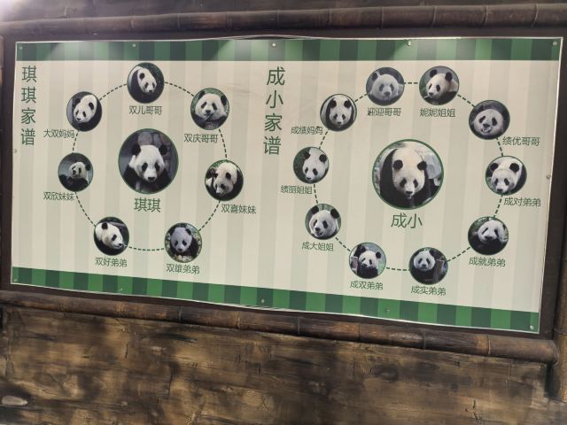 中国春秋淹城旅游区旅行图片 1
