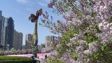 丁香公园-哈尔滨-卫新@