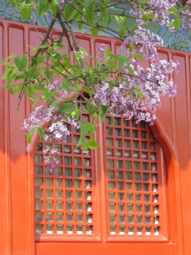 智化寺旅行图片 3