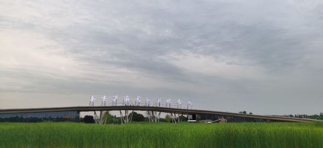 西安浐灞国家湿地公园旅行图片 1