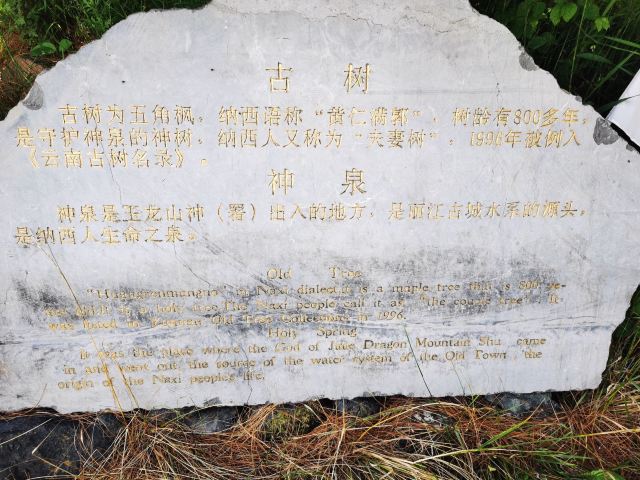 丽江玉水寨风景区旅行图片 4