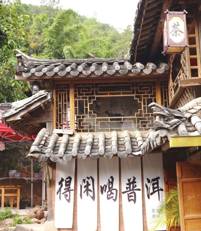 普洱古镇荷园旅行图片 2
