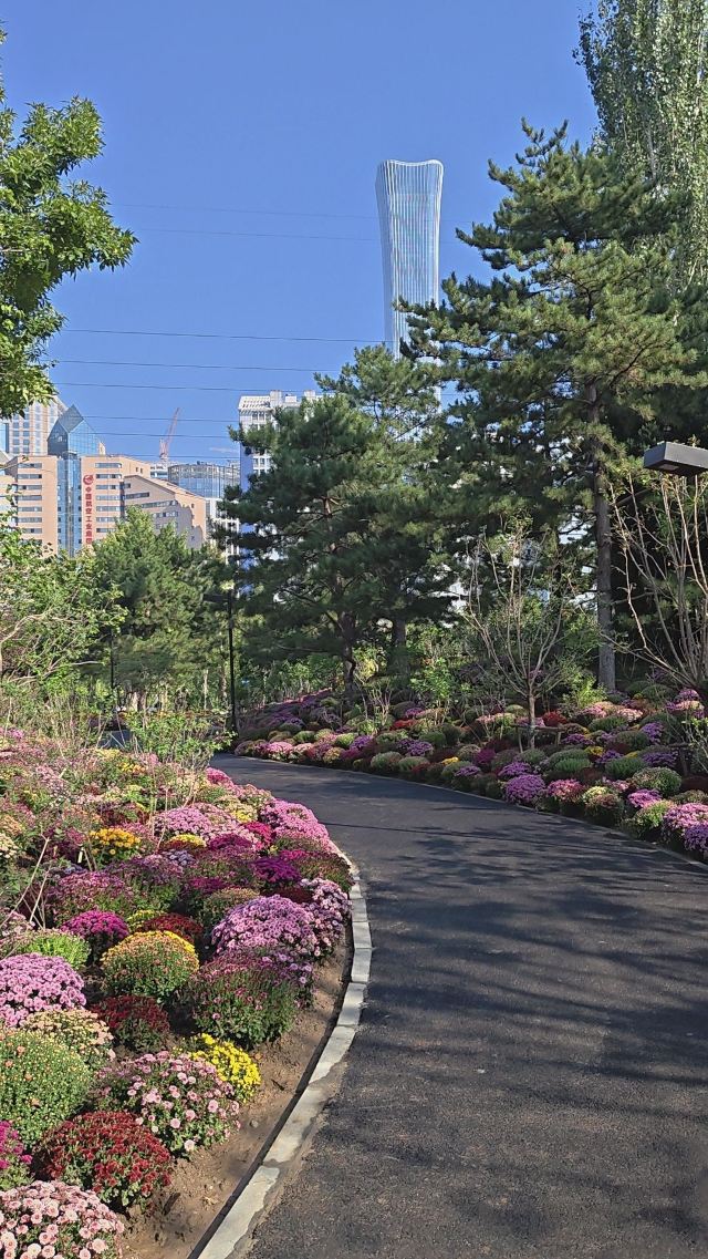 庆丰公园旅行图片 4