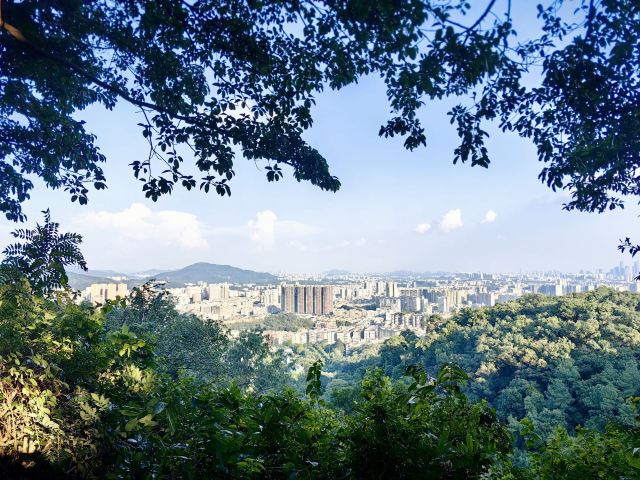 阳明心谷景区旅行图片 1
