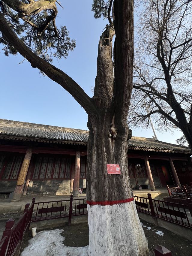 韩城古城旅行图片 4
